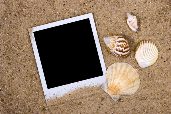 海の貝殻をもつ写真フレーム — ストック写真