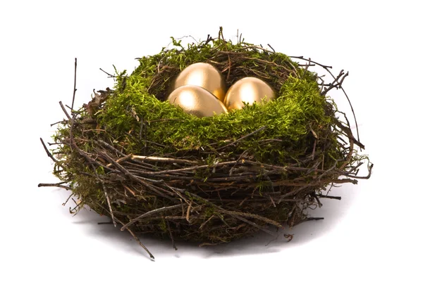 Gouden eieren in een nest — Stockfoto