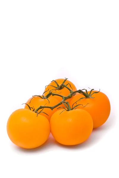 신선한 토마토. — 스톡 사진