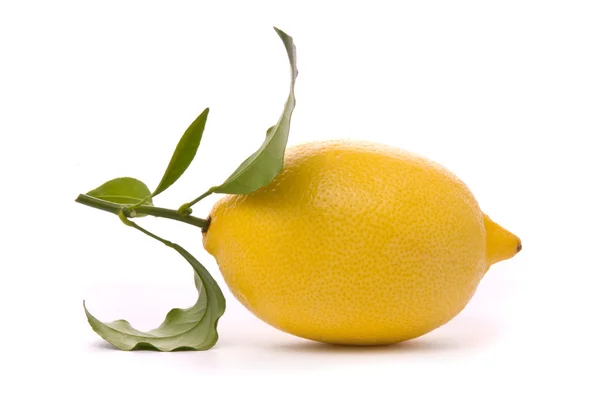 在一张白纸被隔绝的新鲜柠檬 — 图库照片