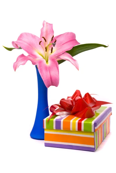 Lirio rosa y caja de regalo — Foto de Stock