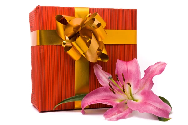 Рожева лілія та подарункова коробка — стокове фото