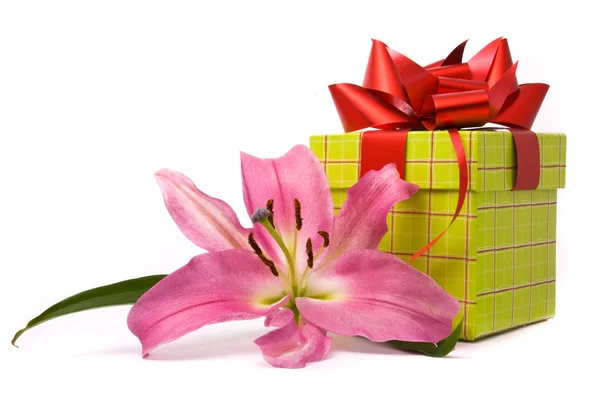 Pink lily a dárkové krabice — Stock fotografie