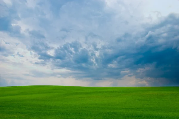Blauwe lucht en groen veld — Stockfoto