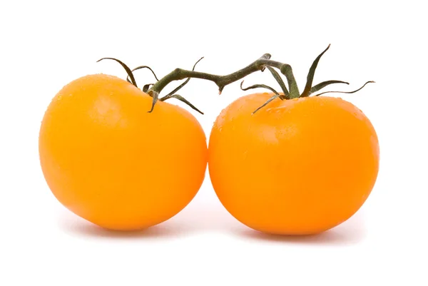 신선한 토마토입니다. 스튜디오 흰색 배경. — 스톡 사진