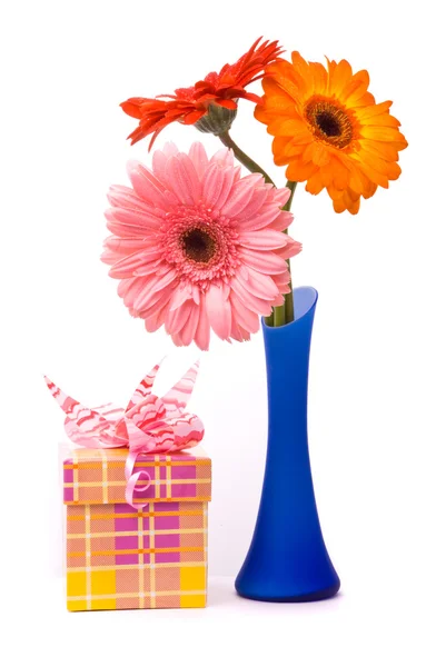 Mooie gerber bloemen in blauwe vaas — Stockfoto
