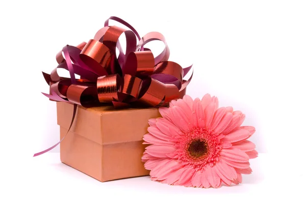 粉红色格柏鲜花和礼品盒 — 图库照片