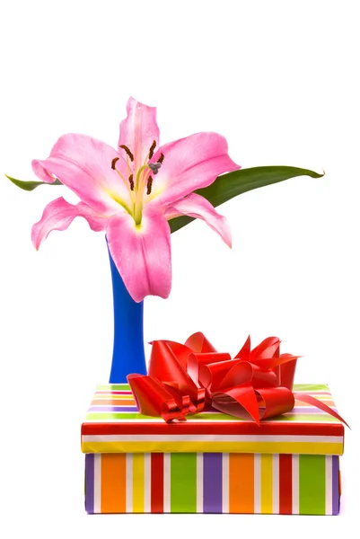 Rosa Lilie und Geschenkbox — Stockfoto