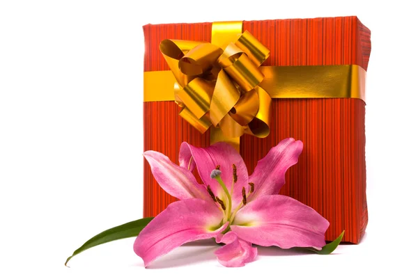 Pink lily and gift box on a white — Stock Photo, Image
