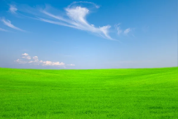 Céu azul e campo verde — Fotografia de Stock