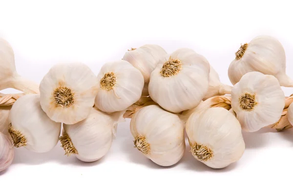 Garlic on white with soft shadow — Stock Photo, Image