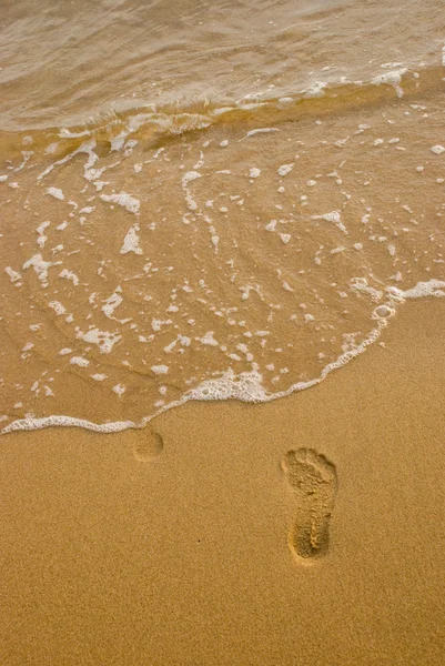 Traces on the beach — Stock Photo, Image