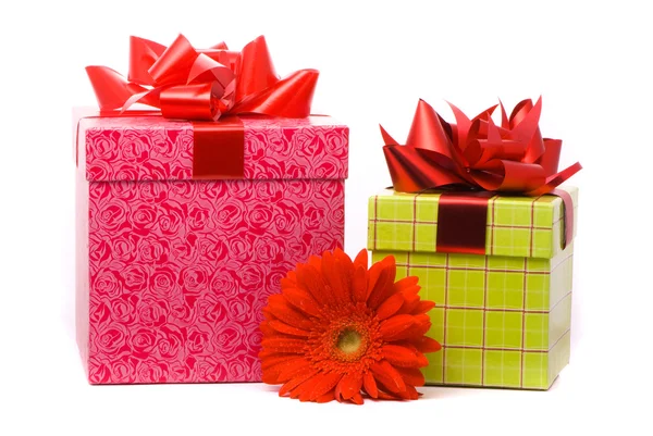 Красный гербер цветок и подарочная коробка — стоковое фото