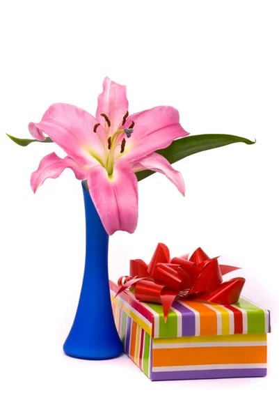 Pink lily and gift box — Stock Photo, Image