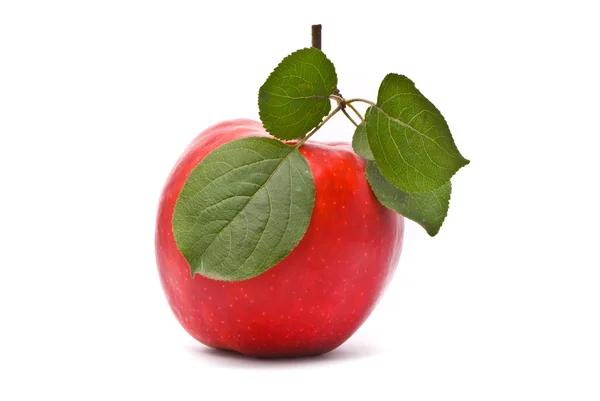 Red fresh apple with leaves — Stock Photo, Image