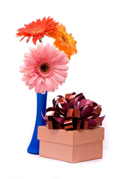 Bellissimi fiori di gerbero — Foto Stock