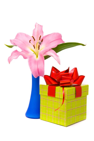 Roze lily en geschenk doos — Stockfoto