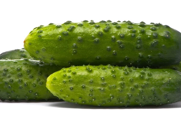 Verse komkommers op studio wit — Stockfoto