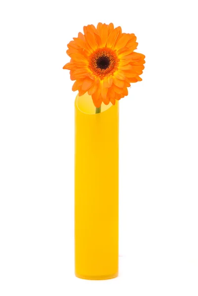 Orange gerber flower in yellow vase — Stock Photo, Image