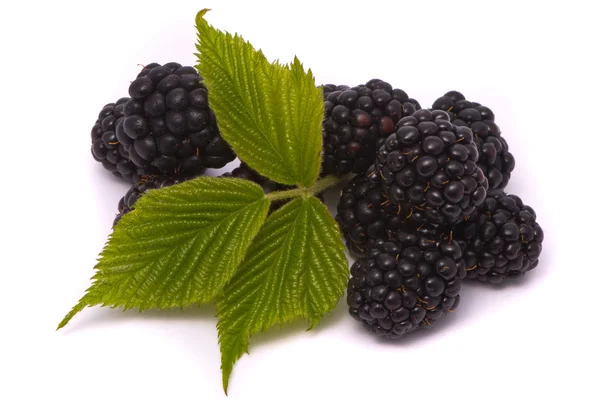 Beautiful blackberries. — Stock Photo, Image