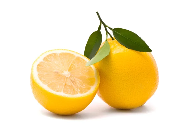 用新鲜叶子柠檬 — 图库照片