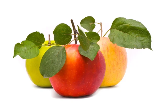 Κόκκινο, κίτρινο και πράσινο φρέσκα μήλα — Φωτογραφία Αρχείου