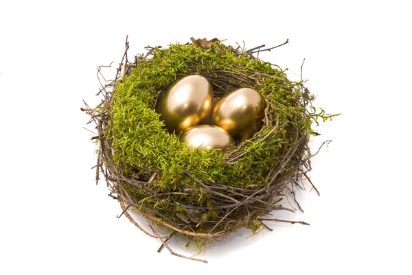 Golden eggs on a nest — Stock Photo, Image