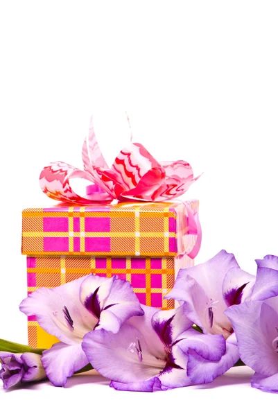 Beautiful Gladiolus and gift box Stock Image
