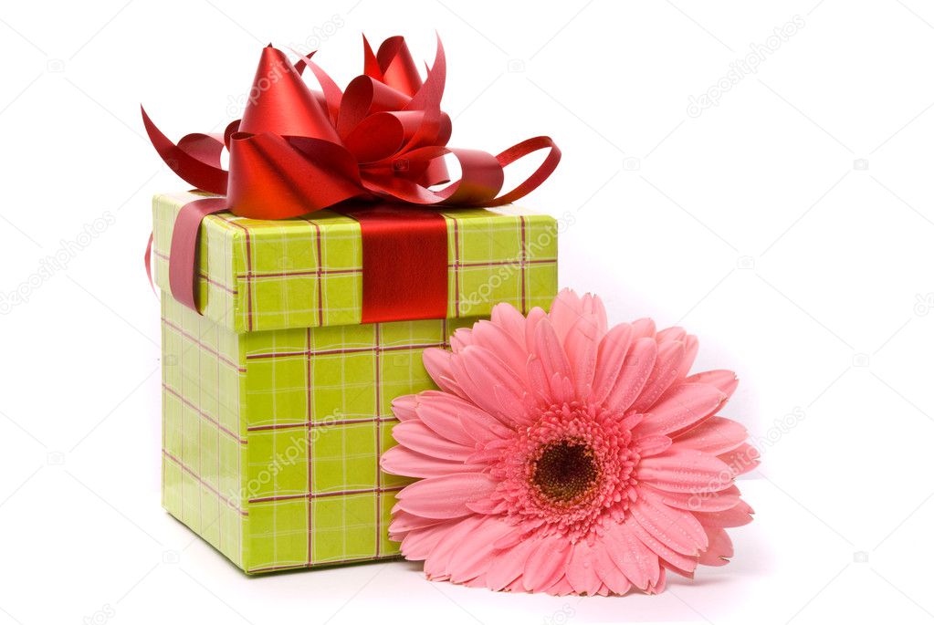 Pink gerber flower and gift box