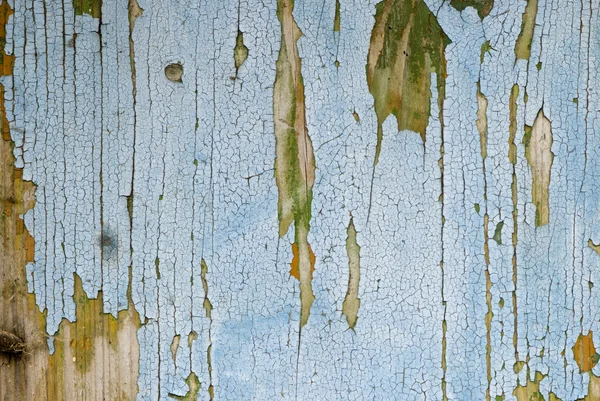 Гранж-дерево — стоковое фото