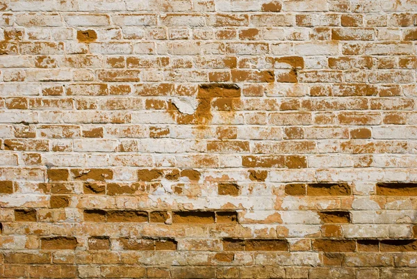 レンガの壁 — ストック写真