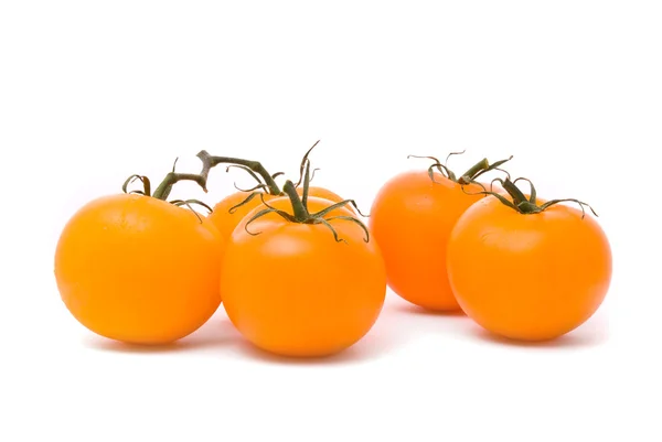 Taze domates. — Stok fotoğraf
