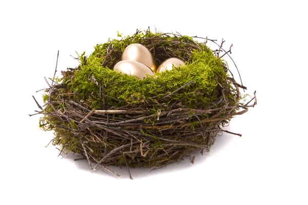 Золотые яйца на гнезде — стоковое фото