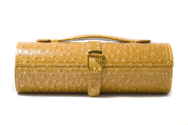 Fancy kvinnan handväska — Stockfoto