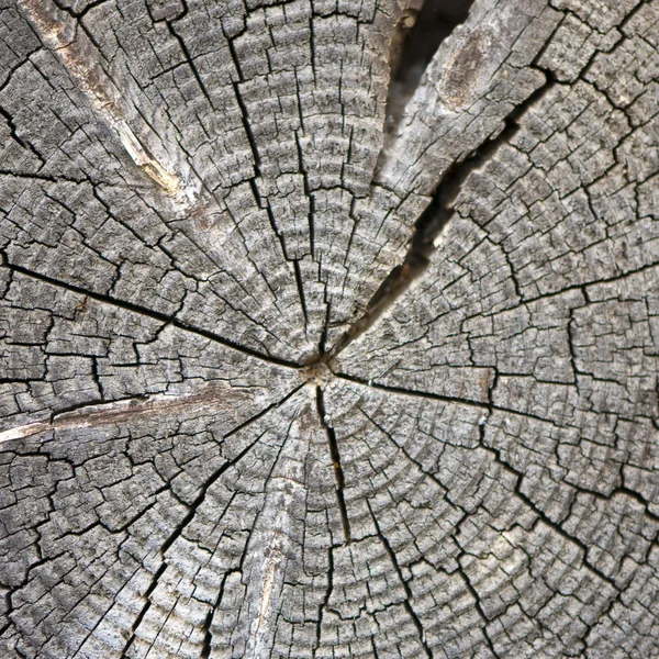 Closeup starých dřevěných řezaných textura — Stock fotografie