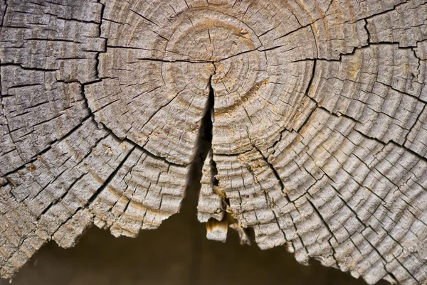 Szczegół stare drewniane cięcia tekstura — Zdjęcie stockowe