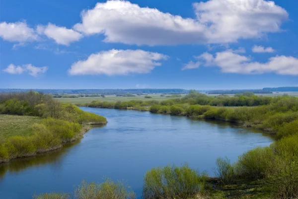 Spring River-utsikt – stockfoto