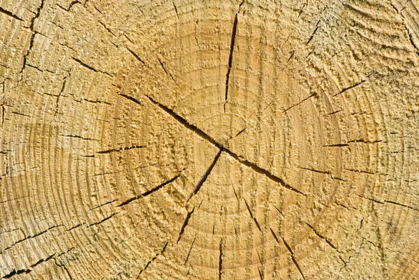 Крупним планом стара дерев'яна різьба текстури — стокове фото