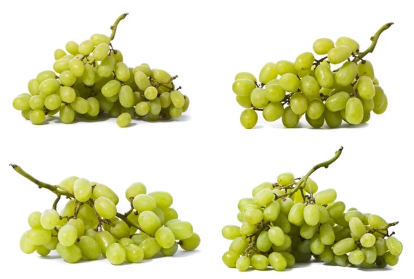 Зеленый виноградник — стоковое фото