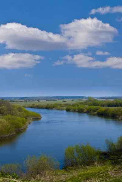 Wiosna z widokiem na rzekę — Zdjęcie stockowe