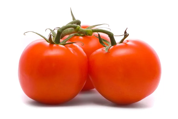 stock image Fresh tomatoes.