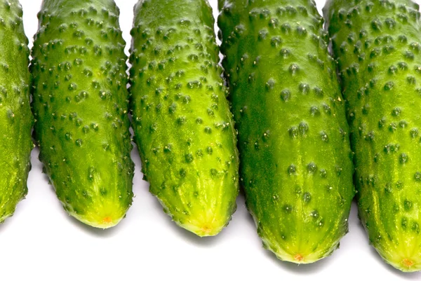 Verse komkommers op studio wit — Stockfoto