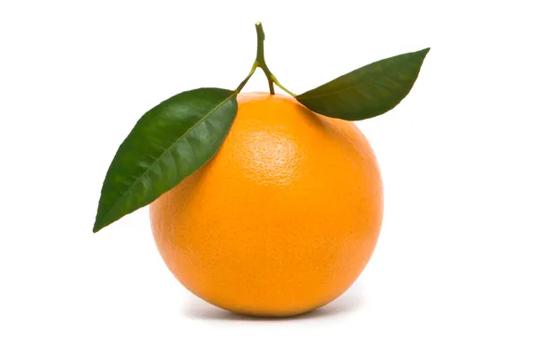 Naranja fresca . — Foto de Stock