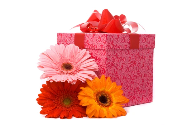 Gerber flowers and gift box — Stock Photo, Image