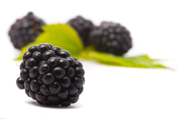 Beautiful blackberries. — Stockfoto