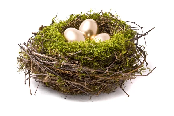 Gyllene ägg på ett fågelbo — Stockfoto