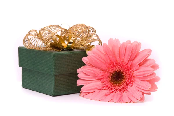 Pembe gerber çiçek ve hediye kutusu — Stok fotoğraf