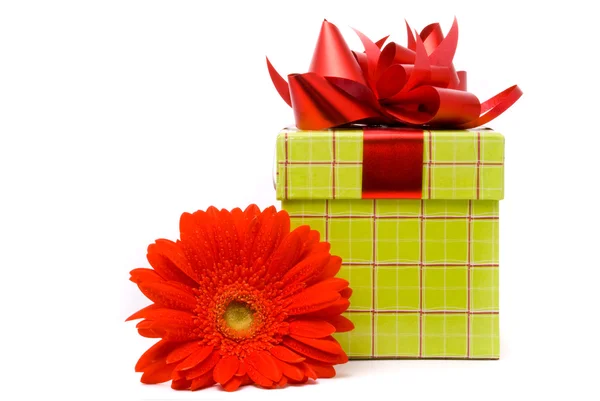 Gerber flower and gift box — Stock Photo, Image