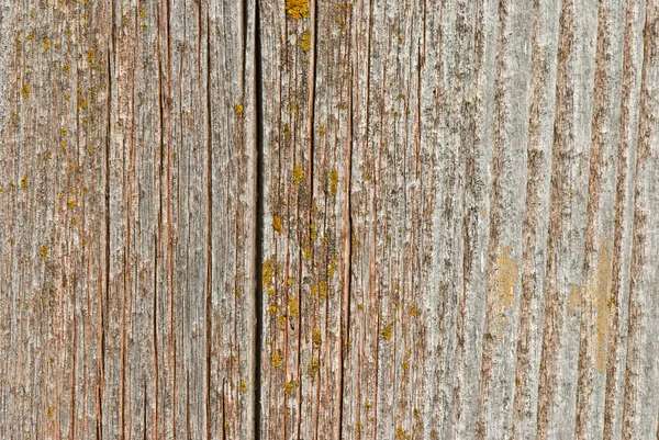 Stara faktura drewna — Zdjęcie stockowe