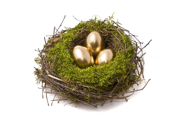 Goldene Eier auf einem Nest — Stockfoto